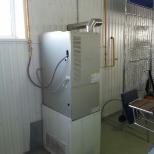 img1_14940.jpg