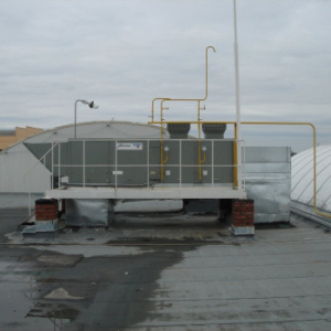 img1_34728.jpg