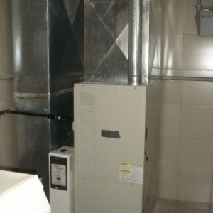 img1_50114.jpg